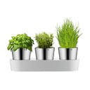 3 nerūsējošā tērauda trauku komplekts garšaugiem WMF Gourmet