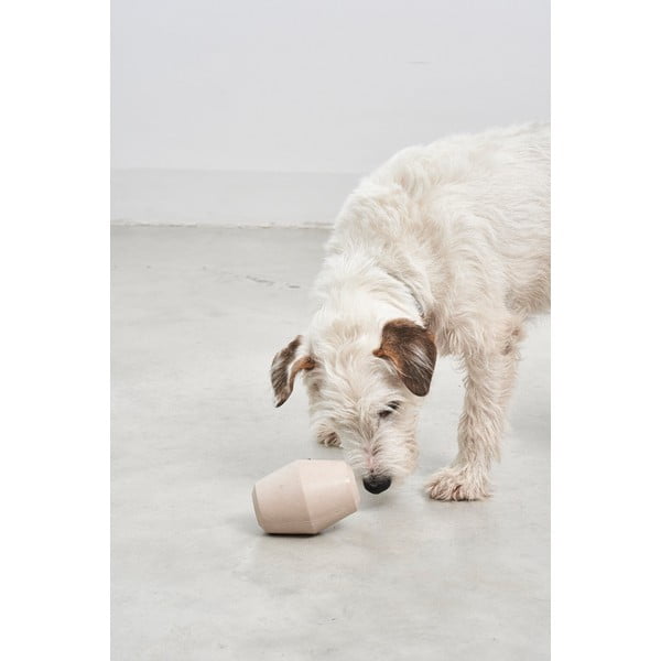 Rotaļlieta suņiem Cono Slate – MiaCara-image-1