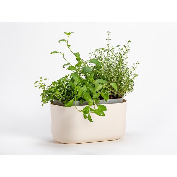 Bēšs pašlaistošs puķu pods Plastia Tolita-image-1