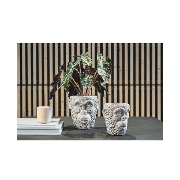 Cementa puķu pods Villa Collection Calbe, augstums 22,5 cm-image-1