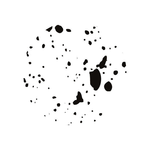 Melnbalta 2 līmeņu mapju atvilktne Bigso, 33 x 22,5 cm-image-4