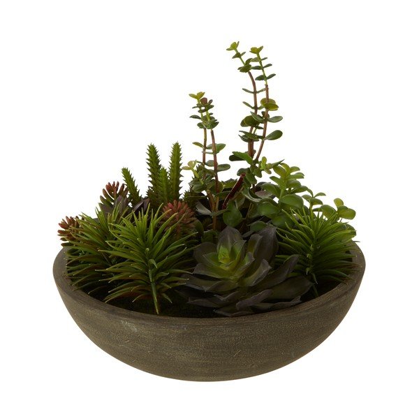 Mākslīgais sukulents puķu podā Premier Housewares Fiori-image-1