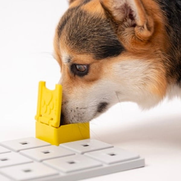 Rotaļlieta suņiem Base – Pawzler-image-1