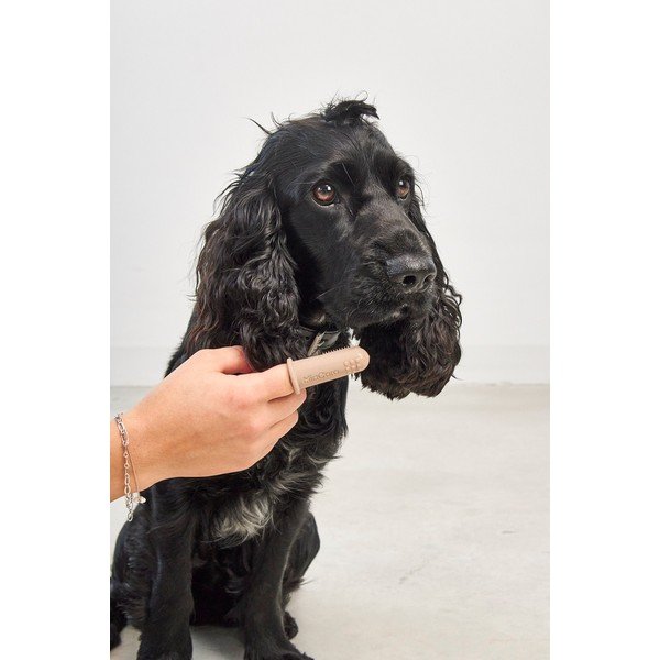 Mājdzīvnieku zobu birstes Dito – MiaCara-image-2