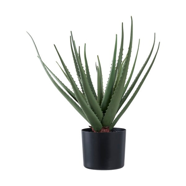 Mākslīgais augs (augstums 51 cm) Aloe Vera – House Nordic