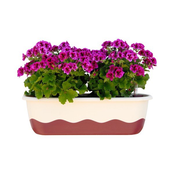 Balts un rozā pašapūdeņojošs puķu pods Plastia Mareta, garums 80 cm-image-1