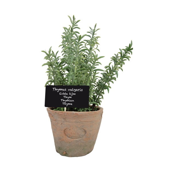 Mākslīgais augs (augstums 21,5 cm) Thyme – Esschert Design