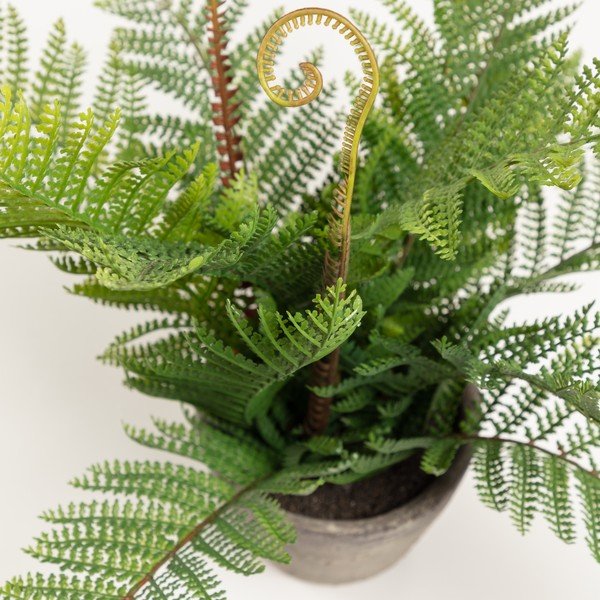 Mākslīgā paparde cementa podā Kave Home, augstums 35 cm-image-1