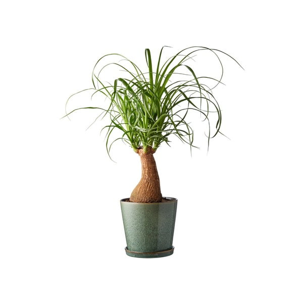 Akmensmasas puķu poda apvalks ø 14 cm Gastro Green/Black – Bitz-image-1