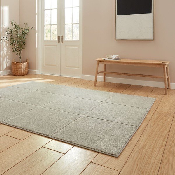 Gaiši pelēks paklājs 120x170 cm Elio Silver – Think Rugs-image-2