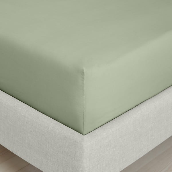 Zaļš palags no kokvilnas perkala ar gumiju 150x200 cm Cotton Percale – Bianca-image-3