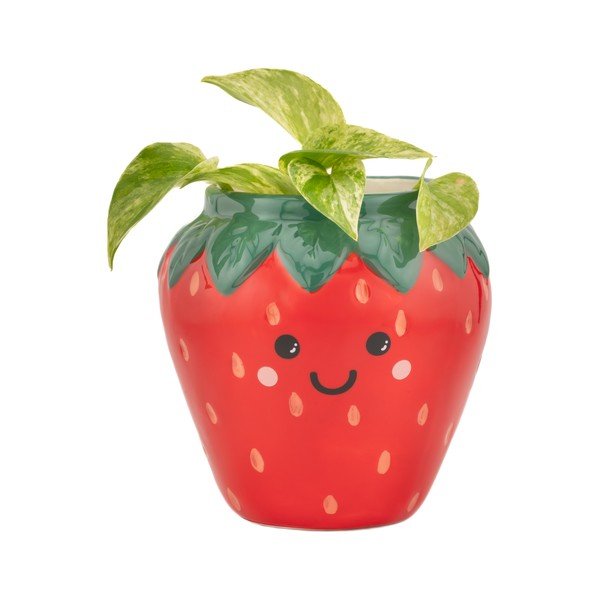Keramikas puķu poda apvalks ø 10 cm Strawberry – Sass & Belle-image-1