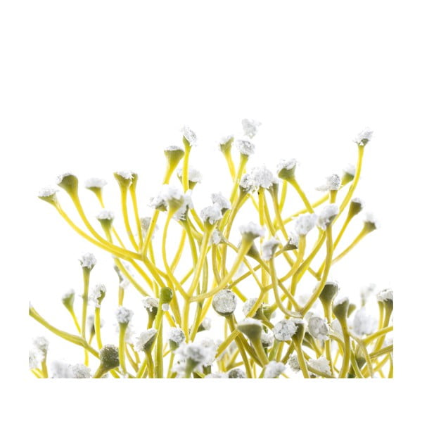 Mākslīgais augs (augstums 27 cm) Babi – Restilo-image-2