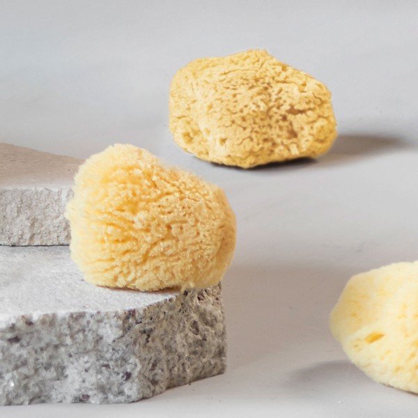 Sejas tīrīšanas sūkļi (5 gab.) Ocean – Mette Ditmer Denmark-image-4