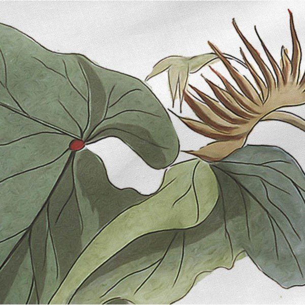 2 kokvilnas spilvendrānu komplekts Happy Friday Blooming, 50 x 75 cm-image-3