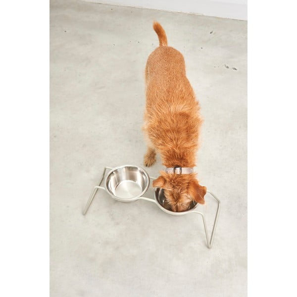 Nerūsējošā tērauda bļodiņu komplekts ar pamatni suņiem Cena Greige M – MiaCara-image-3