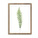 Glezna 30x40 cm Greenery – Styler