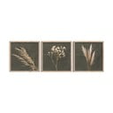 Gleznas (3 gab.) 30x30 cm Pampas – Styler