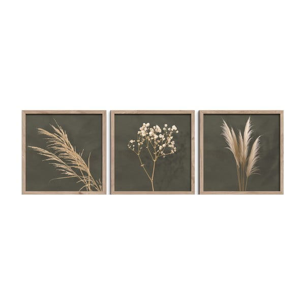 Gleznas (3 gab.) 30x30 cm Pampas – Styler