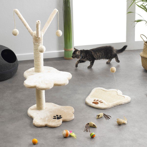 Kaķu nagu asināmais – Love Story-image-2