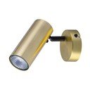 Zelta krāsas metāla prožektora tipa lampa 8x16 cm Colly – Candellux Lighting