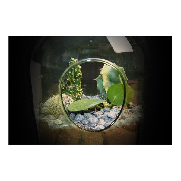 Esschert Design aerārijs, 3 l-image-1