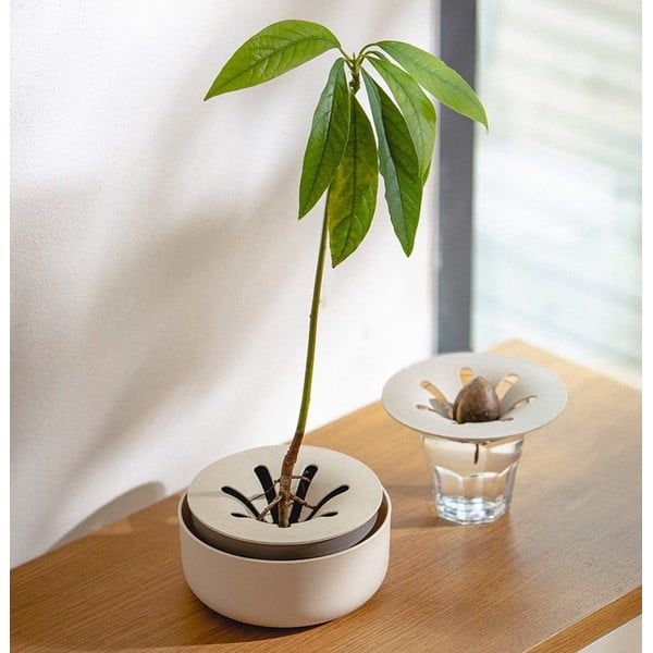 Diedzēšanas trauks, ø 16 cm Regrow – Plastia-image-1