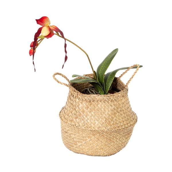 Uzglabāšanas grozs no jūraszālēm Compactor, ⌀ 27 cm-image-3