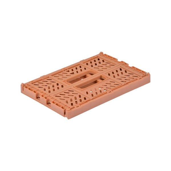 Lašrozā plastmasas uzglabāšanas kaste 21x14.5x8 cm – Homéa-image-2