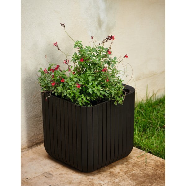 Plastmasas puķu pods Cube – Keter-image-1