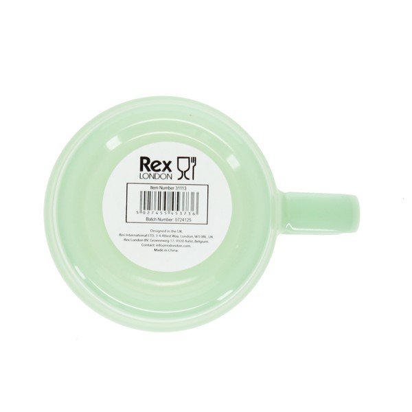 Piparmētru zaļa stikla krūze 280 ml – Rex London-image-4