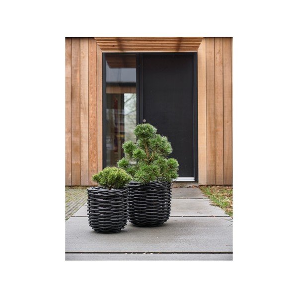 Rotangpalmas puķu podi (2 gab.) ø 52 cm Vilda – Villa Collection-image-3