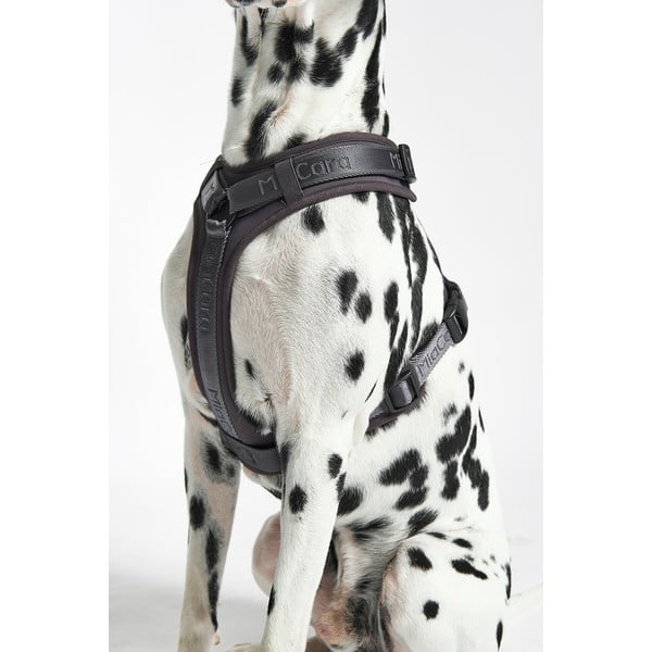 Tumši pelēka plecu siksna L garums 42 cm Modena Asphalt L – MiaCara-image-2