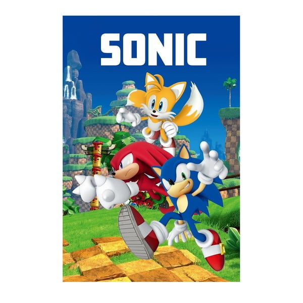 Flīsa bērnu sega 100x150 cm Sonic – Jerry Fabrics