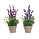 Mākslīgā lavanda (2 gab.) (augstums 27 cm) – Casa Selección
