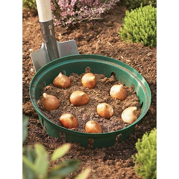 Paaugstināta dārza dobe – Garden Pleasure-image-1