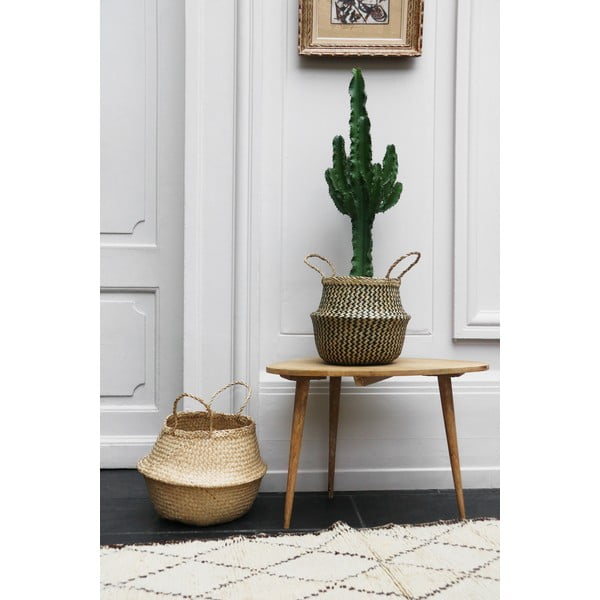 Uzglabāšanas grozs no jūraszālēm Compactor Zic Zac, ⌀ 27 cm-image-1