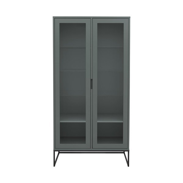 Pelēki zaļa vitrīna 90x178 cm Lipp – Tenzo