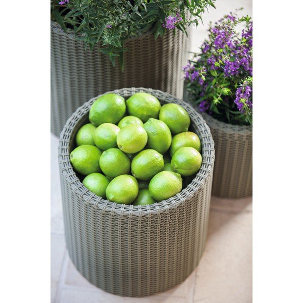 Pelēks puķu pods Keter Planter, ø 35 cm-image-1