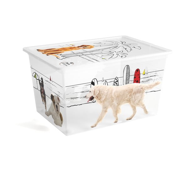 Balta plastmasas uzglabāšanas kaste ar vāku 55x39x31 cm C Box Style – KIS