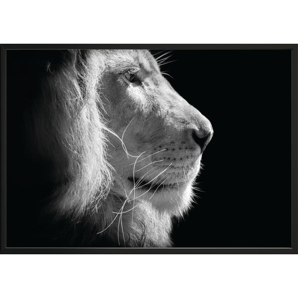 Melnbalts plakāts DecoKing Lion King, 70 x 50 cm