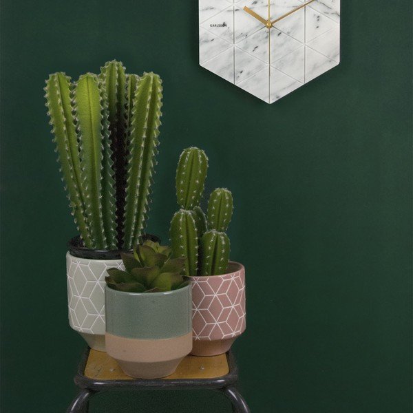 Present Time Sešstūra stādītājs-image-1