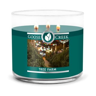 Aromātiskā svece Goose Creek Tree Farm, degšanas laiks 35 h