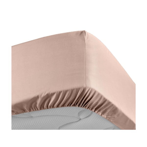 Rozā palags no kokvilnas perkala ar gumiju 180x200 cm Percaline – douceur d'intérieur-image-3