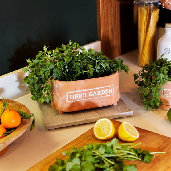 Terakotas puķu pods Sass & Belle Herbs, garums 23 cm-image-1