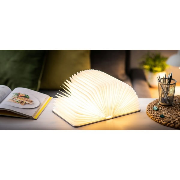 Pelēks gaismas dekors ar USB Booklight – Gingko-image-1