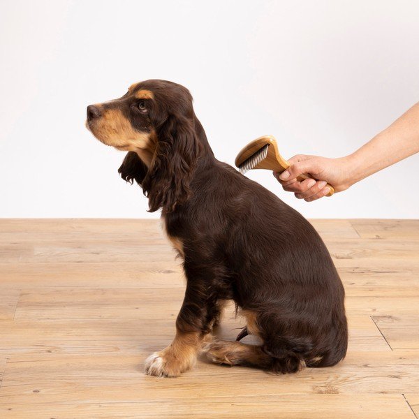 Ķemme mājdzīvniekiem – Love Story-image-1