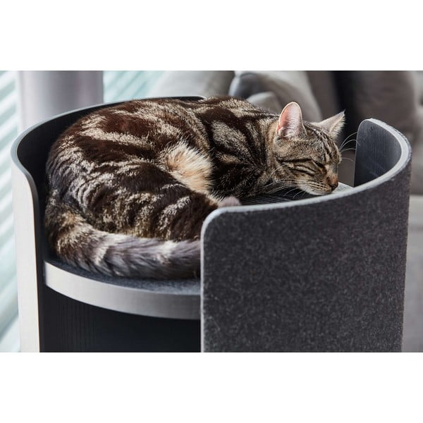 Kaķu nagu asināmais Torre Ash Black S – MiaCara-image-1