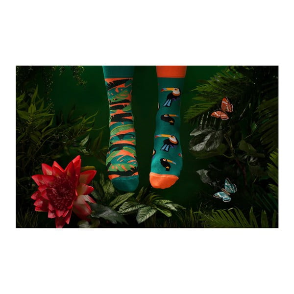 Many Mornings Tropical Heat zeķes, izmērs 43-46-image-2