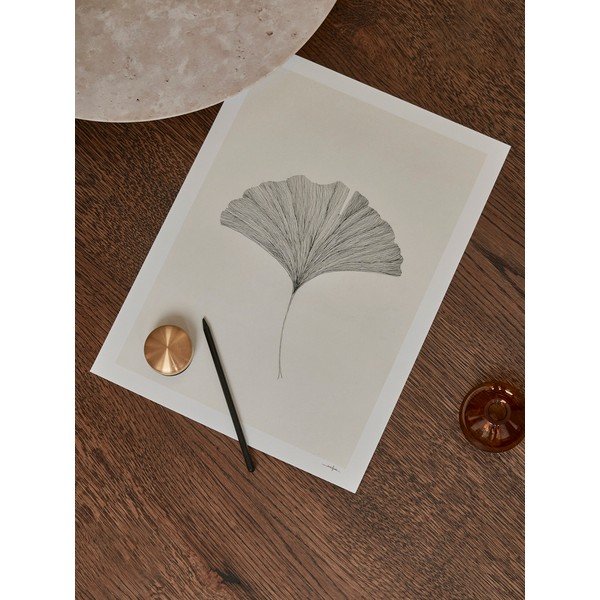 Plakāts 50x70 cm Ginkgo Leaf – Ana Frois – The Poster Club-image-2